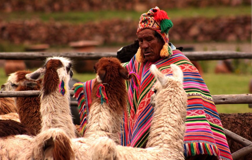 Tour Perú de Colores